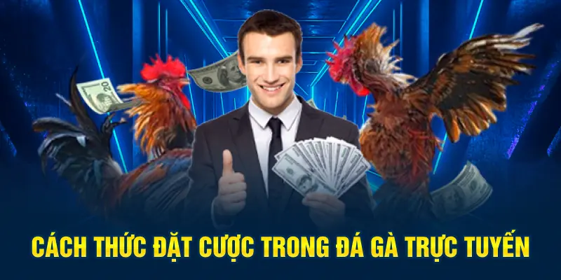 Cách thức để đặt cược đá gà