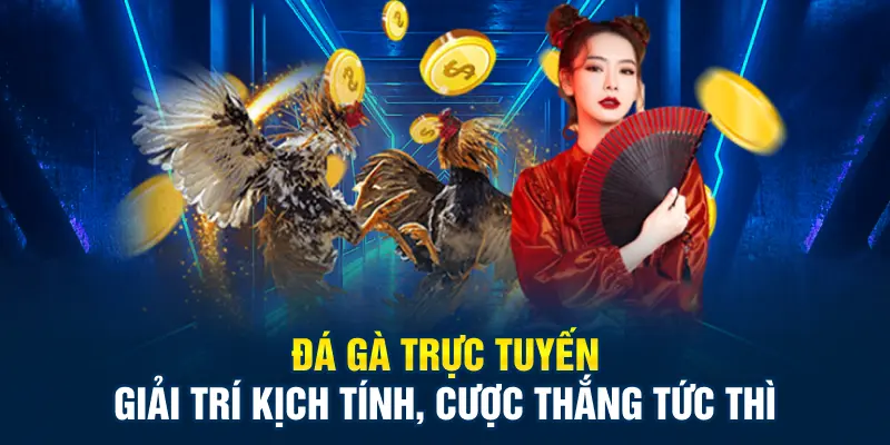 Đá gà trực tuyến