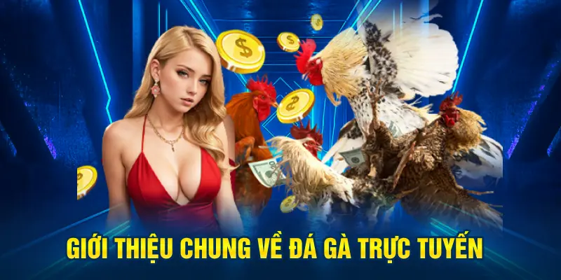 Giới thiệu chung về đá gà trực tuyến