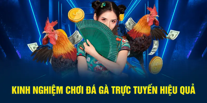 Kinh nghiệm chơi đá gà trực tuyến hiệu quả cho tân binh