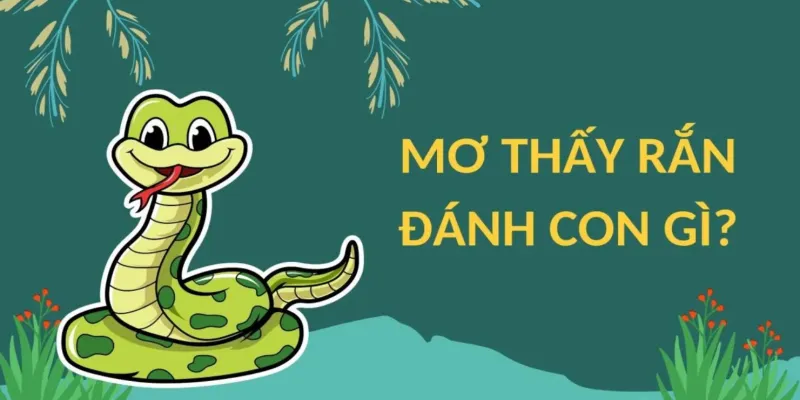 Nằm mơ thấy rắn nên đánh số gì để thử vận may?